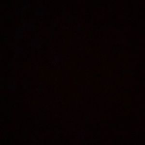 Meet your Posher, Amya